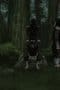 Nonton film Naruto Shippūden Season 11 Episode 233 terbaru di Dutamovie21
