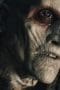 Nonton film Van Helsing Season 2 Episode 3 terbaru di Dutamovie21