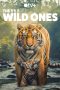 Nonton film The Wild Ones (2025) terbaru di Dutamovie21 Nonton film The Wild Ones (2025) terbaru di Dutamovie21