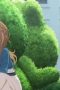 Nonton film Secrets of the Silent Witch Season 1 Episode 2 terbaru di Dutamovie21 Nonton film Secrets of the Silent Witch Season 1 Episode 2 terbaru di Dutamovie21