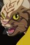 Nonton film Nyaight of the Living Cat Season 1 Episode 1 terbaru di Dutamovie21 Nonton film Nyaight of the Living Cat Season 1 Episode 1 terbaru di Dutamovie21